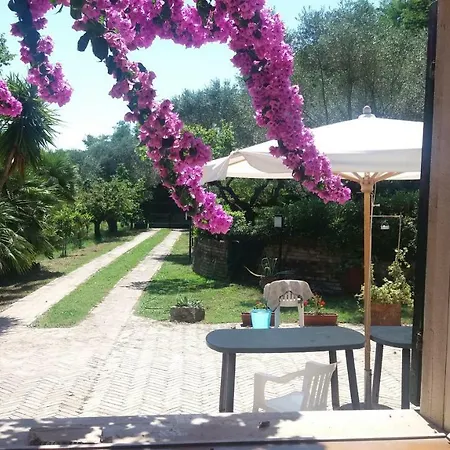 Ananda House לינה וארוחת בוקר Moscufo