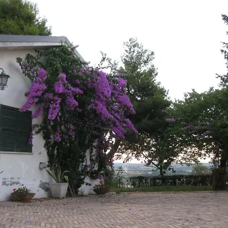לינה וארוחת בוקר Ananda House *