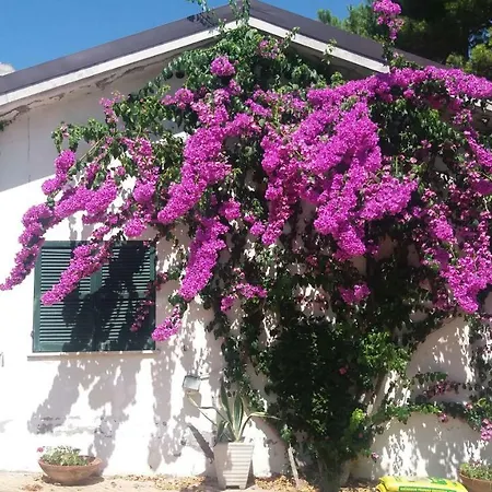 Ananda House לינה וארוחת בוקר