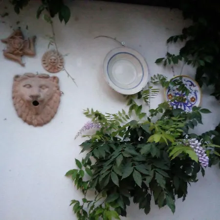 לינה וארוחת בוקר Ananda House *